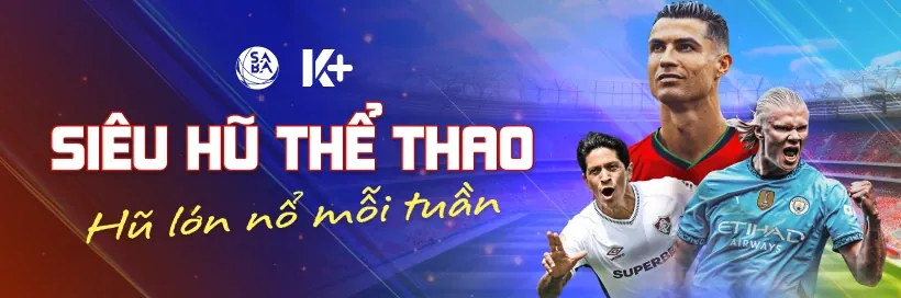Hai cầu thủ bóng đá đang tranh bóng trên sân